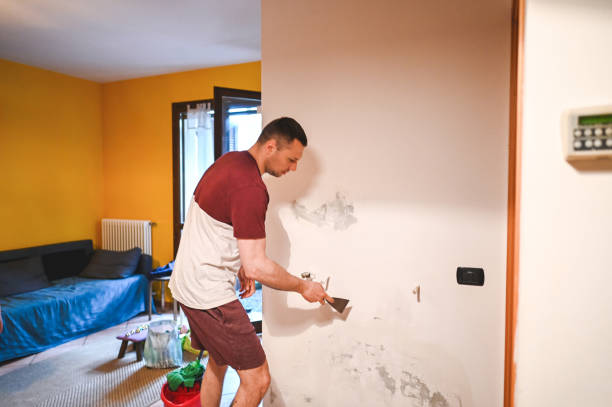 Best Attic Mold Removal  in Mineral Springs, NC